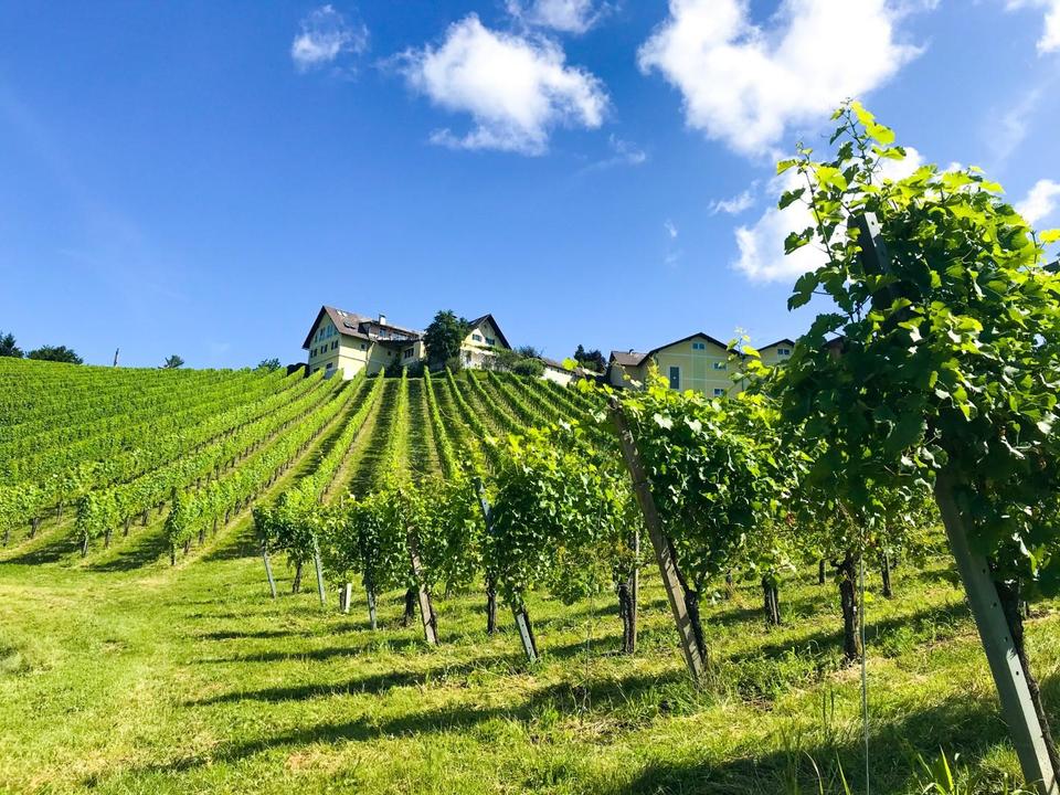 Weingut Wieser