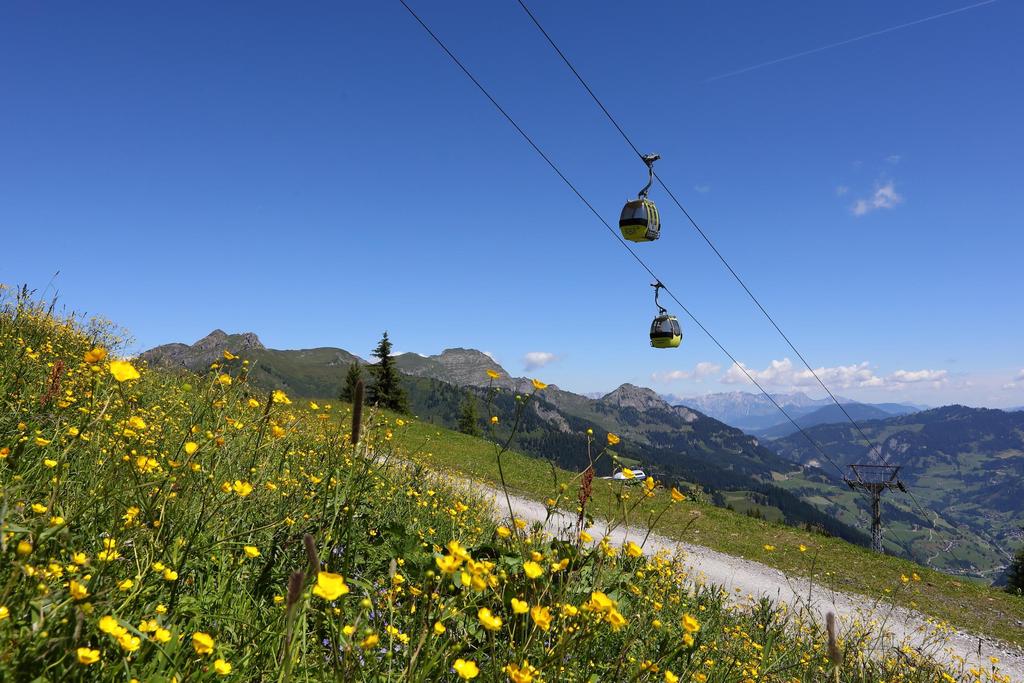 Panoramabahn Großarltal