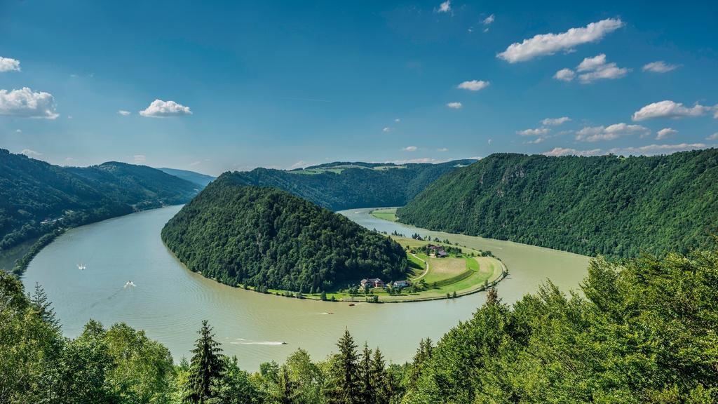 Schlögener Schlinge / Schlögener Loop