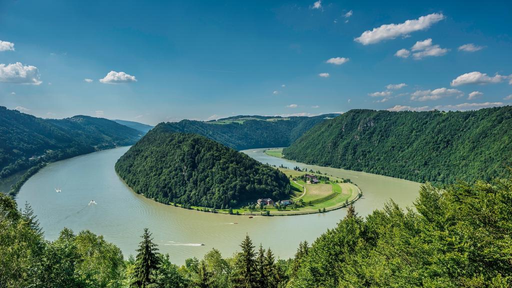 Schlögener Schlinge / Schlögener Loop