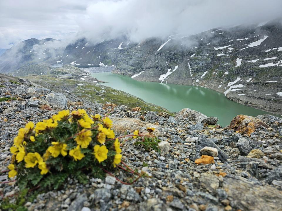Blick auf den Hochwurtenspeicher