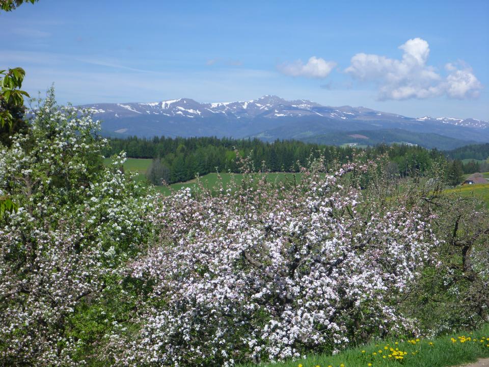 Blick zum Zirbitzkogel