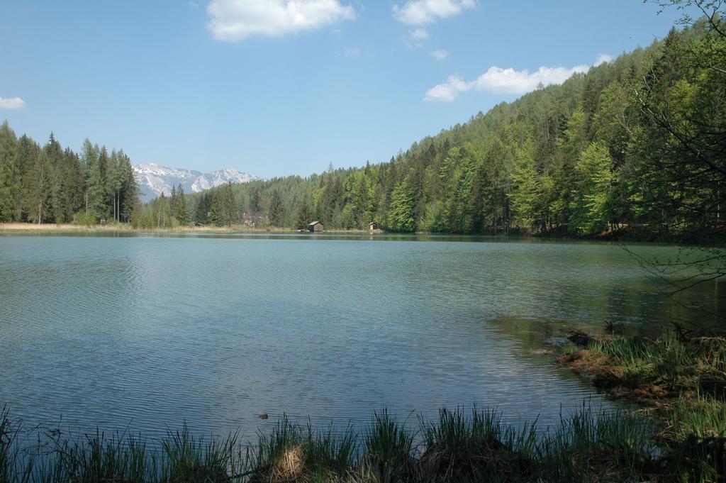 Vorderstoder: Schafferteich