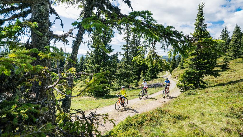 Ein Paradies für Mountainbiker