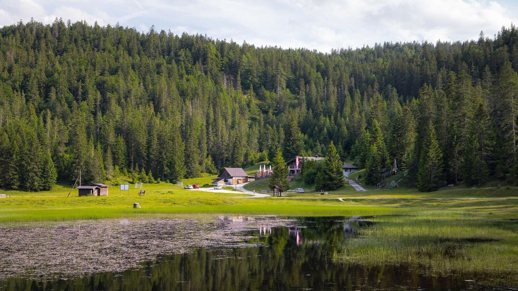 Wildmoosalm im Sommer - Alm aus der Distanz mit Gewässer im Vordergrund.jpg