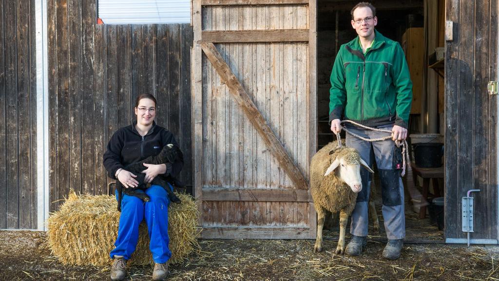 Biobauernhof Roithof Vorm Stall