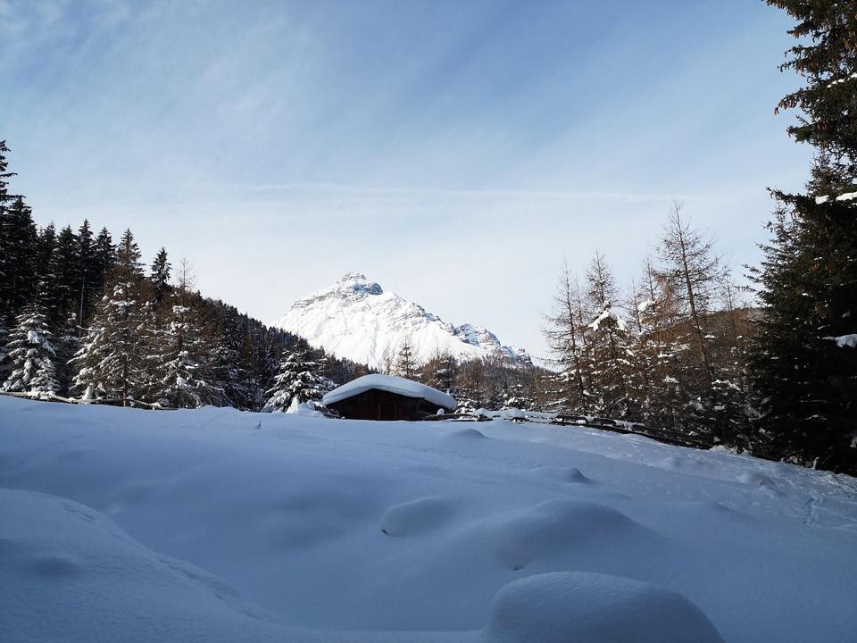 IMG_20190119_102724.jpg