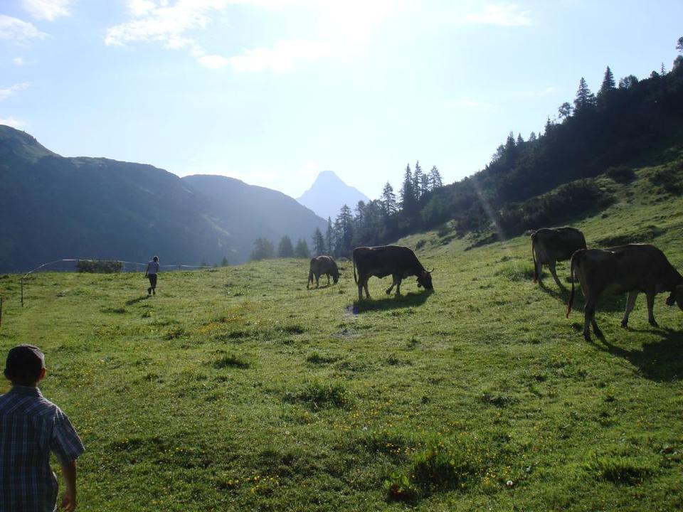 Holzbodenalpe