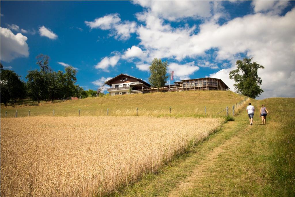 Mostheuriger Am Hochfeld