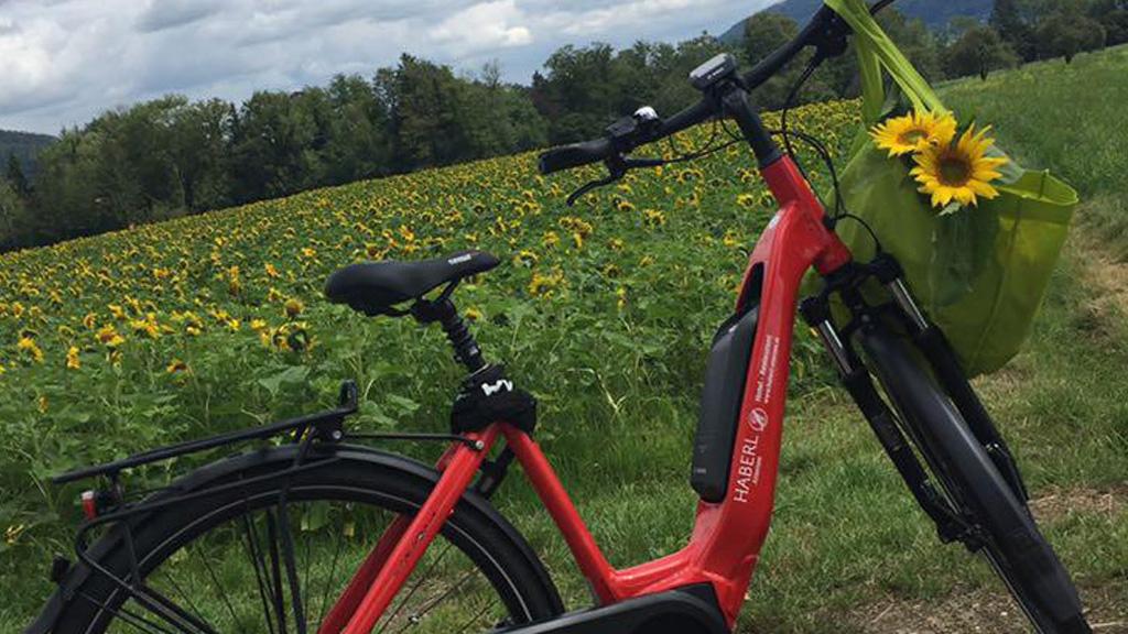 E-Bike Verleih Hotel Restaurant Haberl