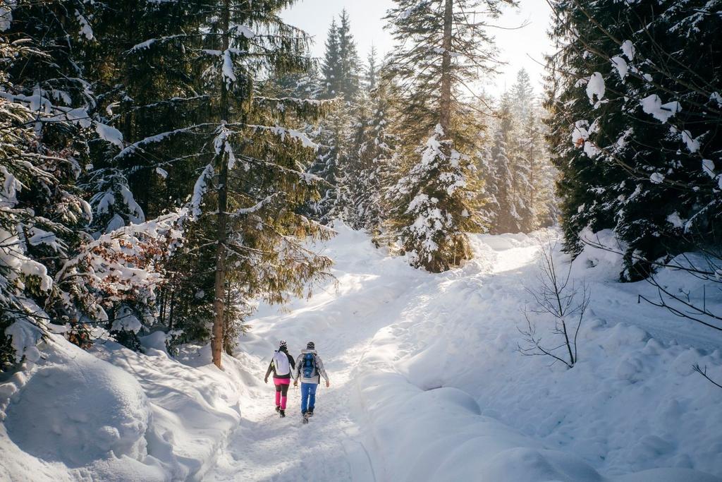 Winterwandern Modal Winter Schnee