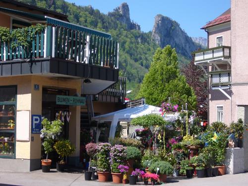 Blumen Ruhnau