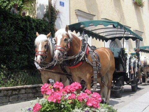 Hochzeitskutsche
