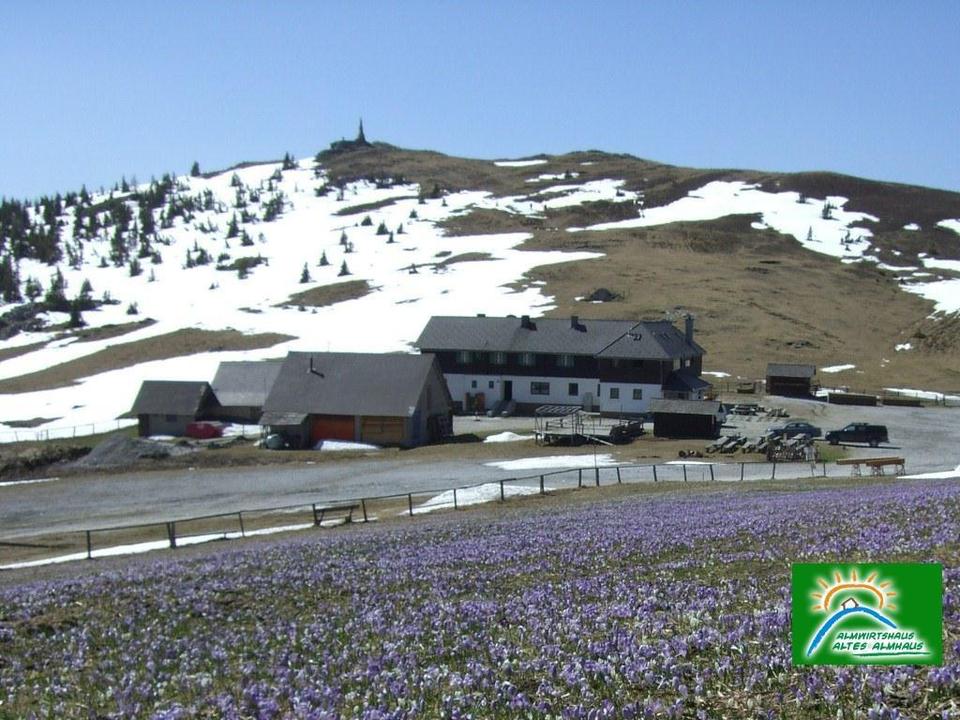Altes Almhaus Außenansicht