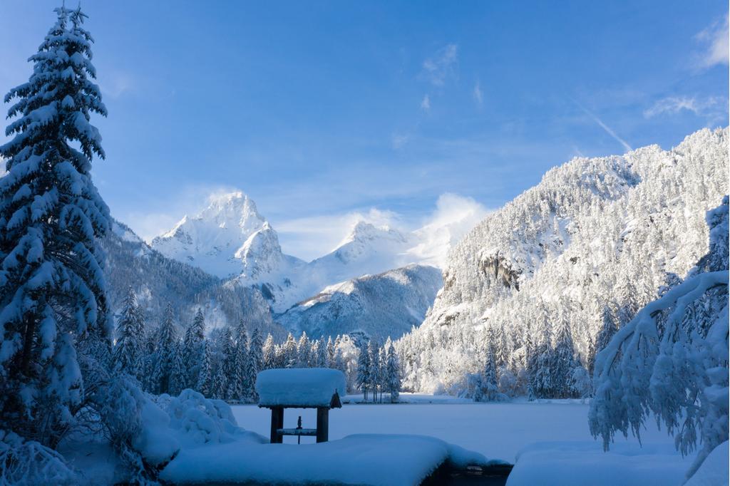 Winterlicher Schiederweiher