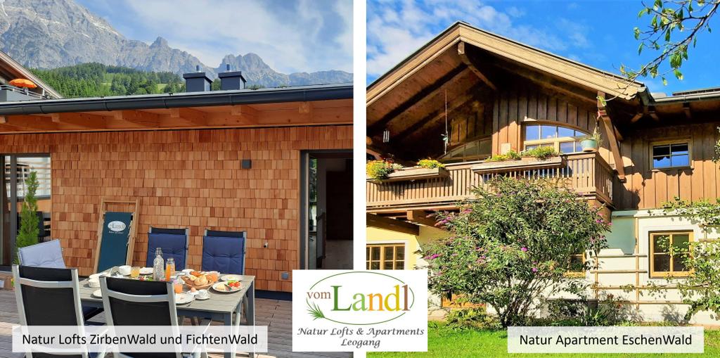 Hauptbild Ansicht Sommer vomLandl
