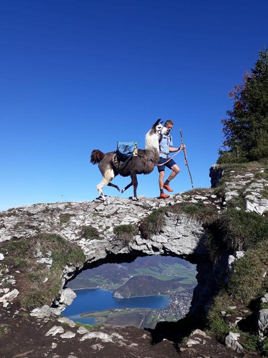 Lama Wanderung