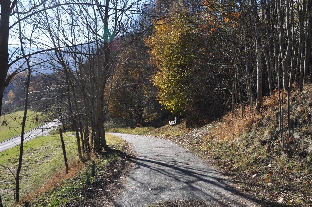 Alte Römerstraße Richtung Radl in Trebesing