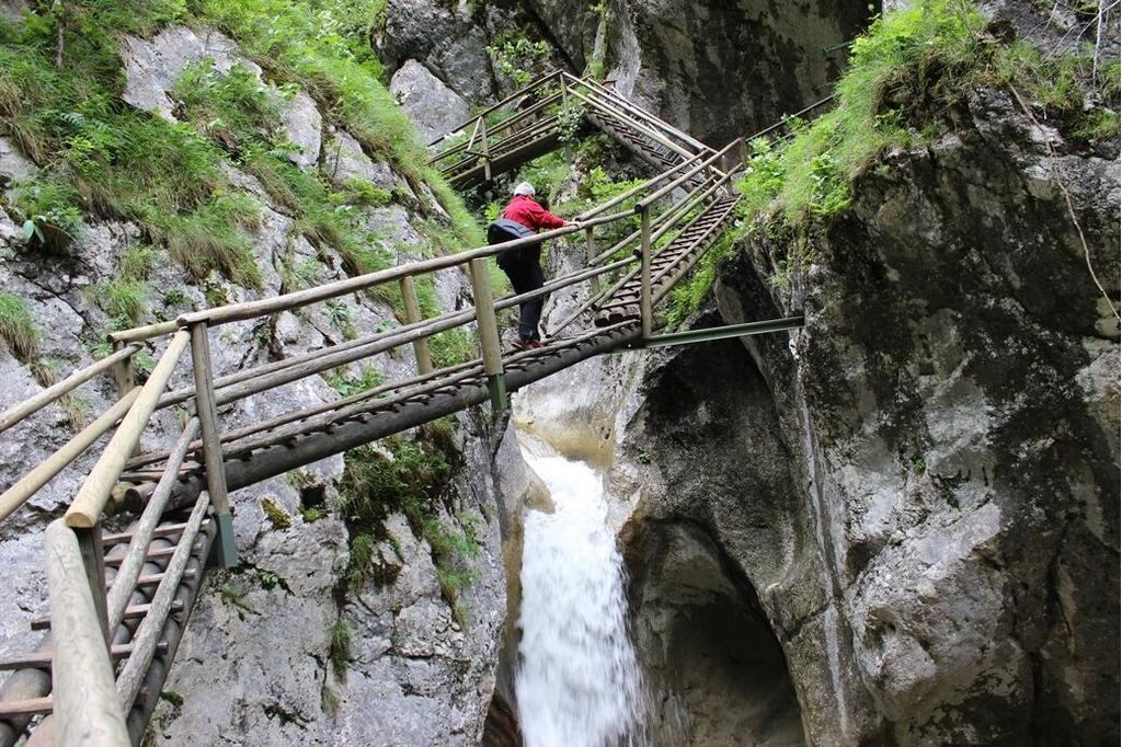 Leitern in der Bärenschützklamm_Naturpark Almenland_Oststeiermark