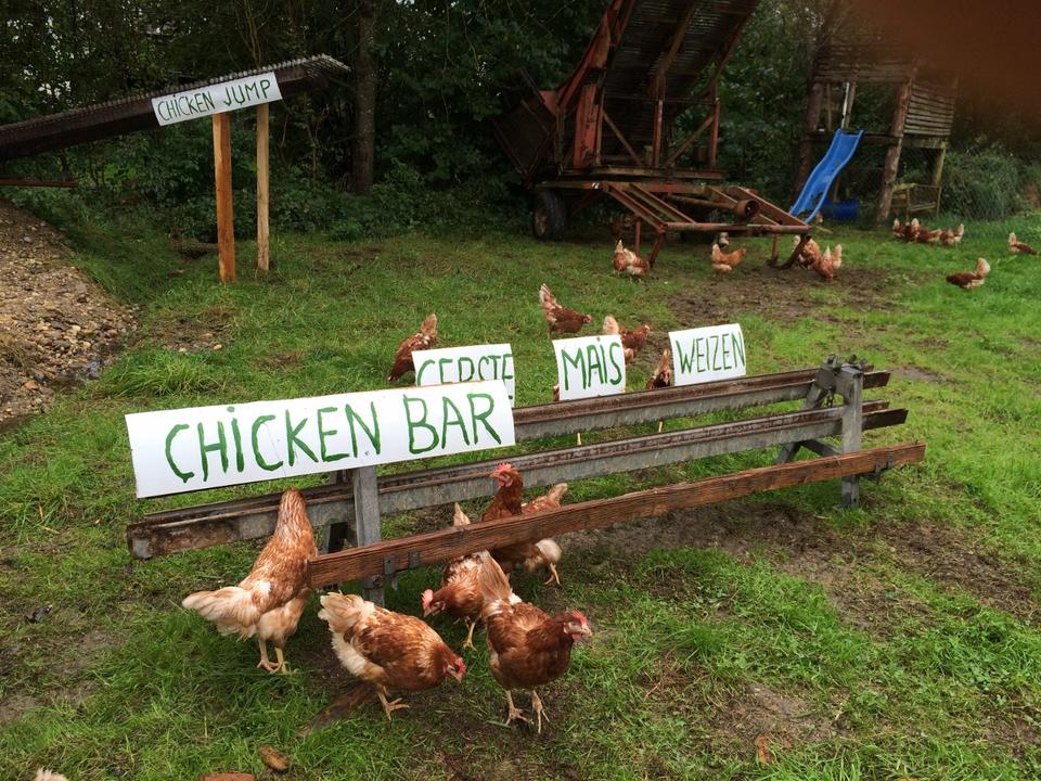 Chicken Bar vom Hühnerwellnesshotel Ober, Altheim