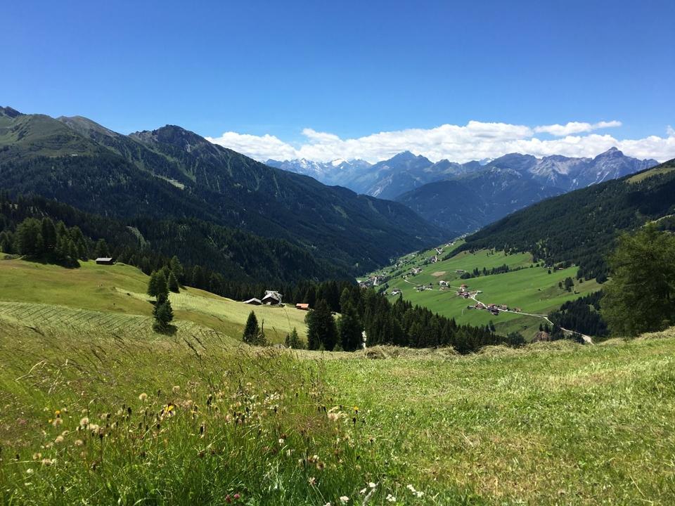 Poltnalm_Navis (13).JPG