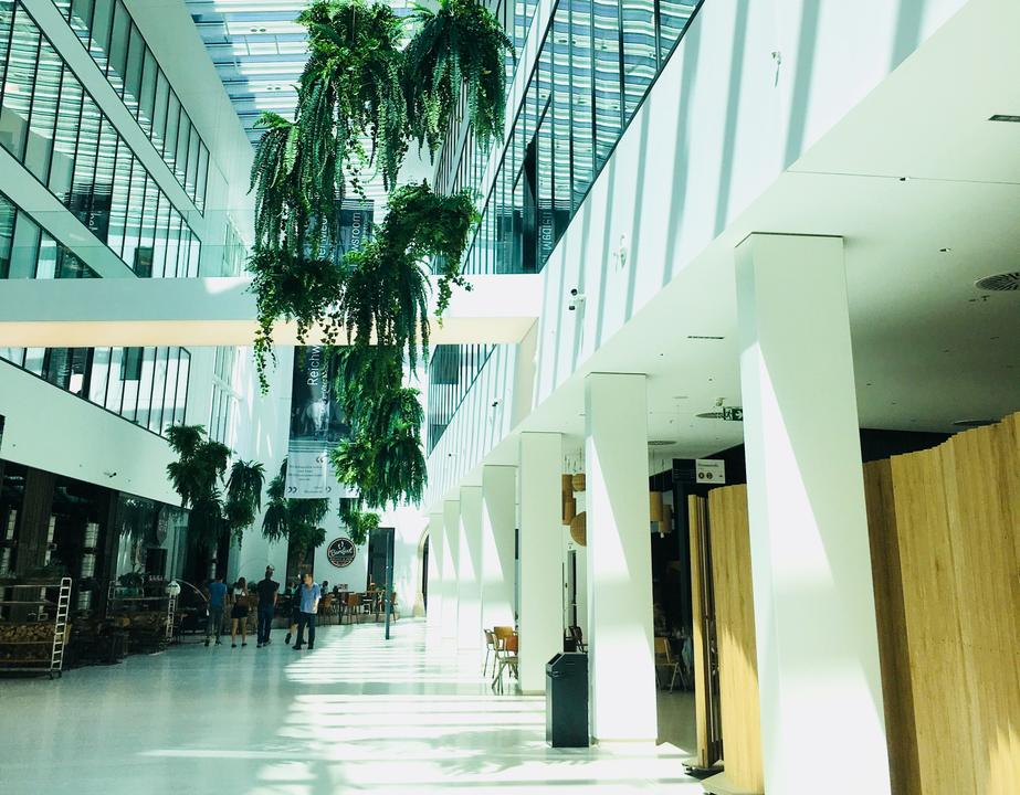 promenaden-galerie_quer_-c-visitlinz_fs