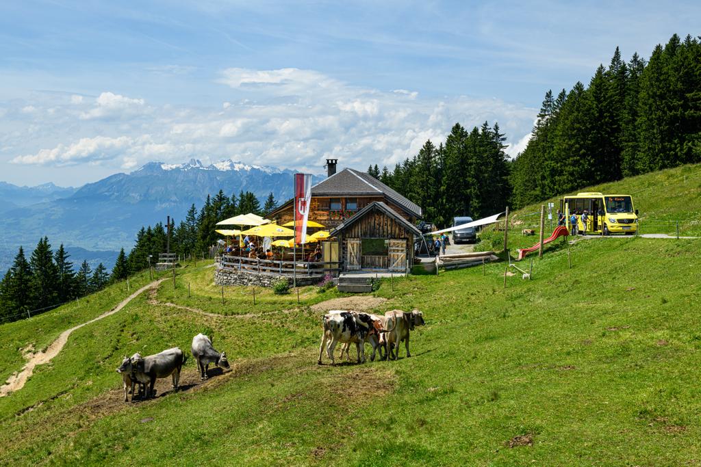 Landbus in Schnifis