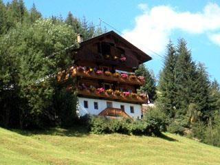 Bild Sommer