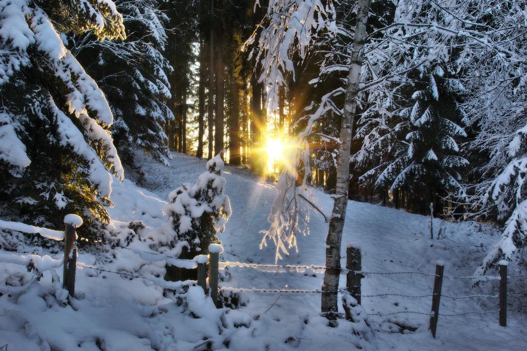 Winterwandern