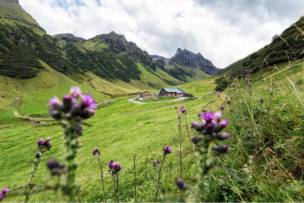 Alp Nova mit Blick in Richtung Madrisella und hinteres Ende des Novatals