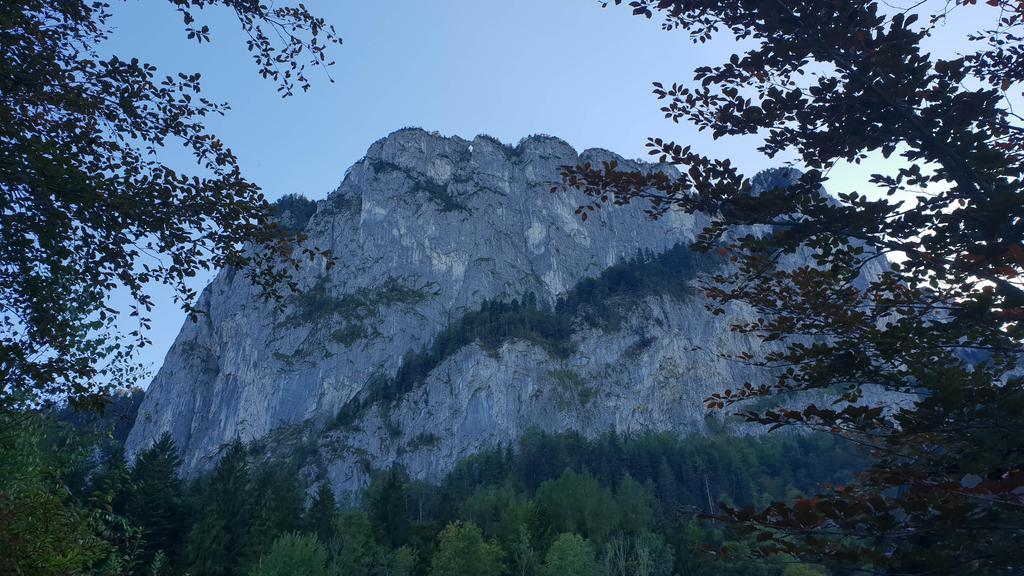Die Drachenwand