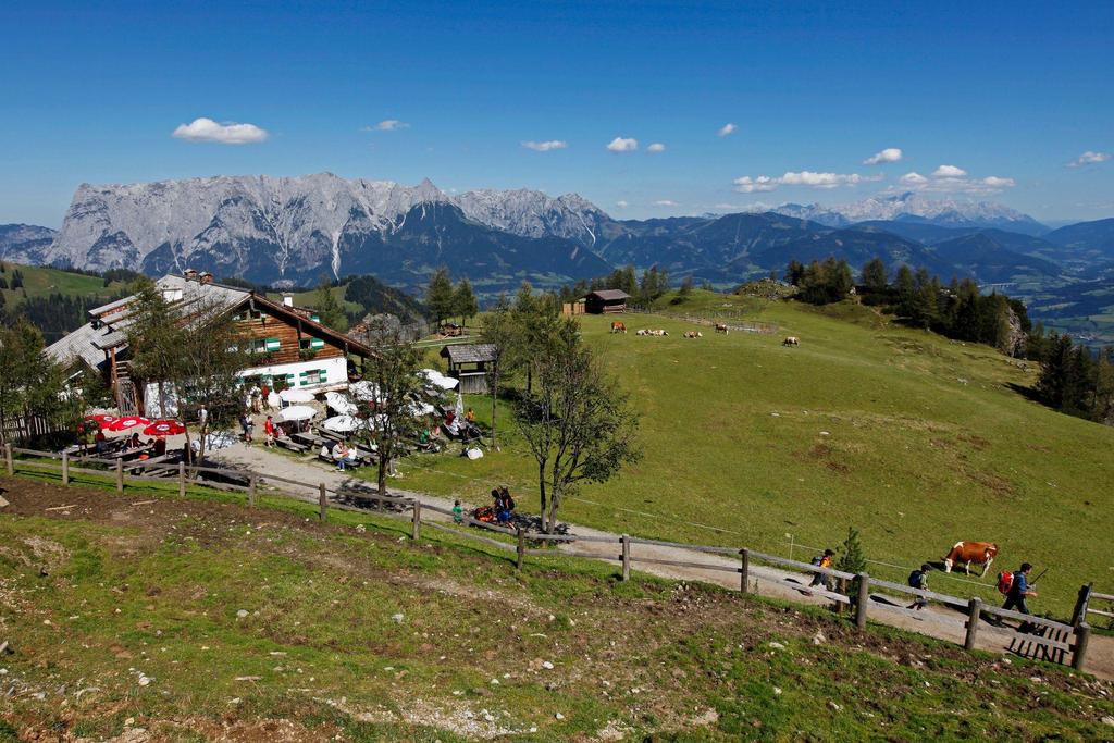Mitterfeldalm