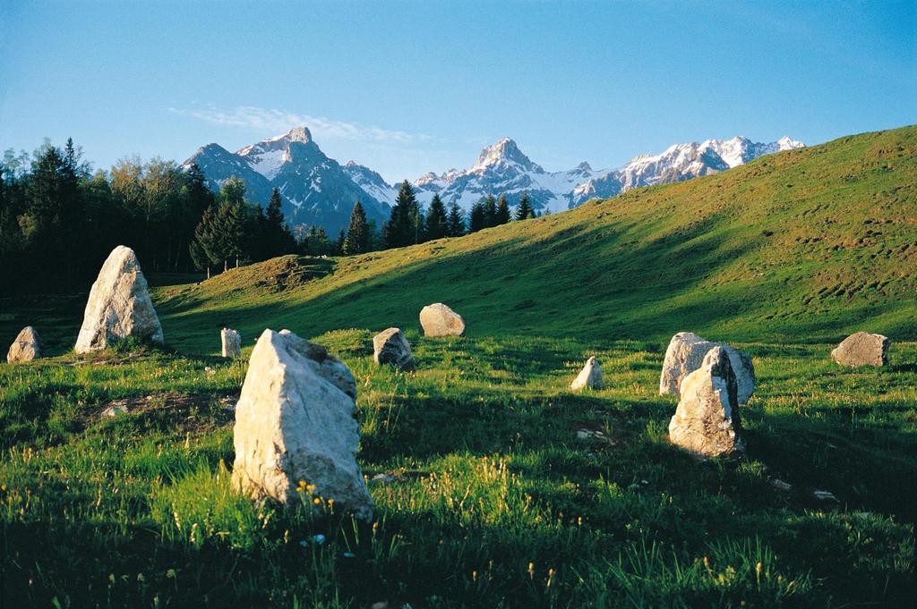 Steinkreise
