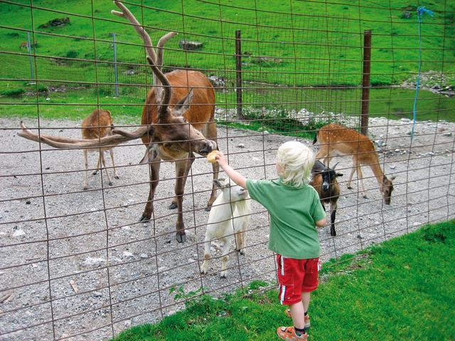 Wildpark