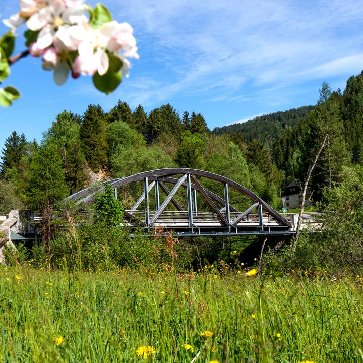Holzweltobjekt "Kaindorfbrücke, St. Georgen ob Murau"