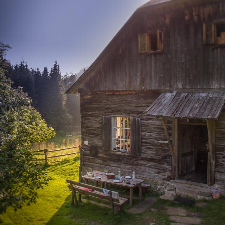 Waldbauer