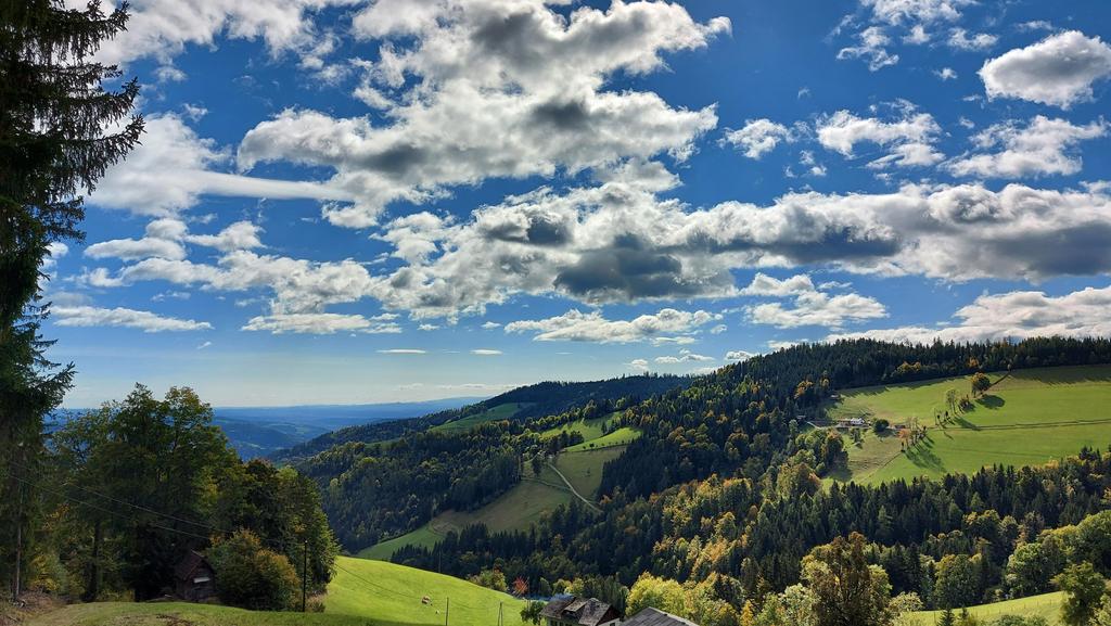 Panorama im Sommer