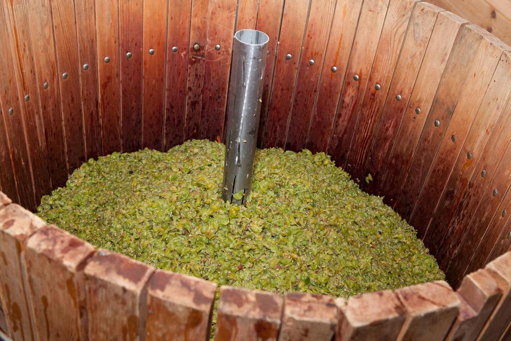 Baumpresse mit Trauben