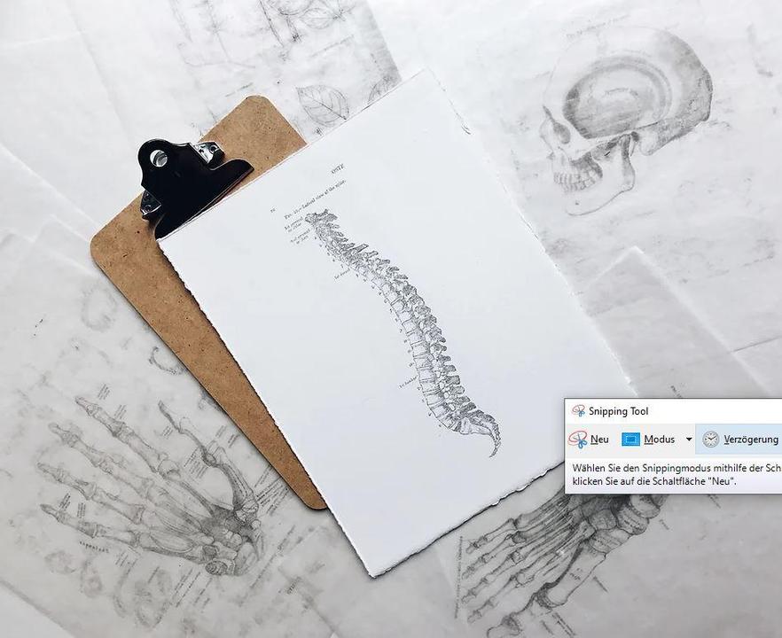 orthoalpin