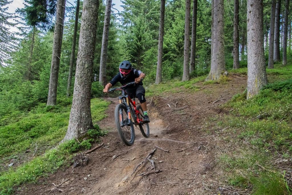 The Rough One © Sabrina Veider.jpg