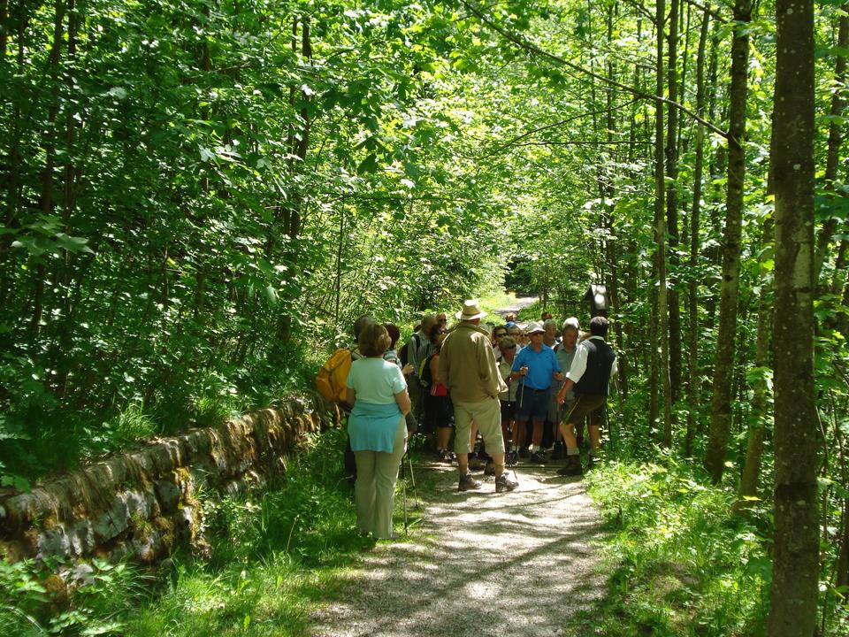 Georgenbergsteig