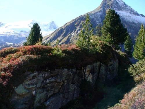 Innergschlöß Blick auf Großvenediger