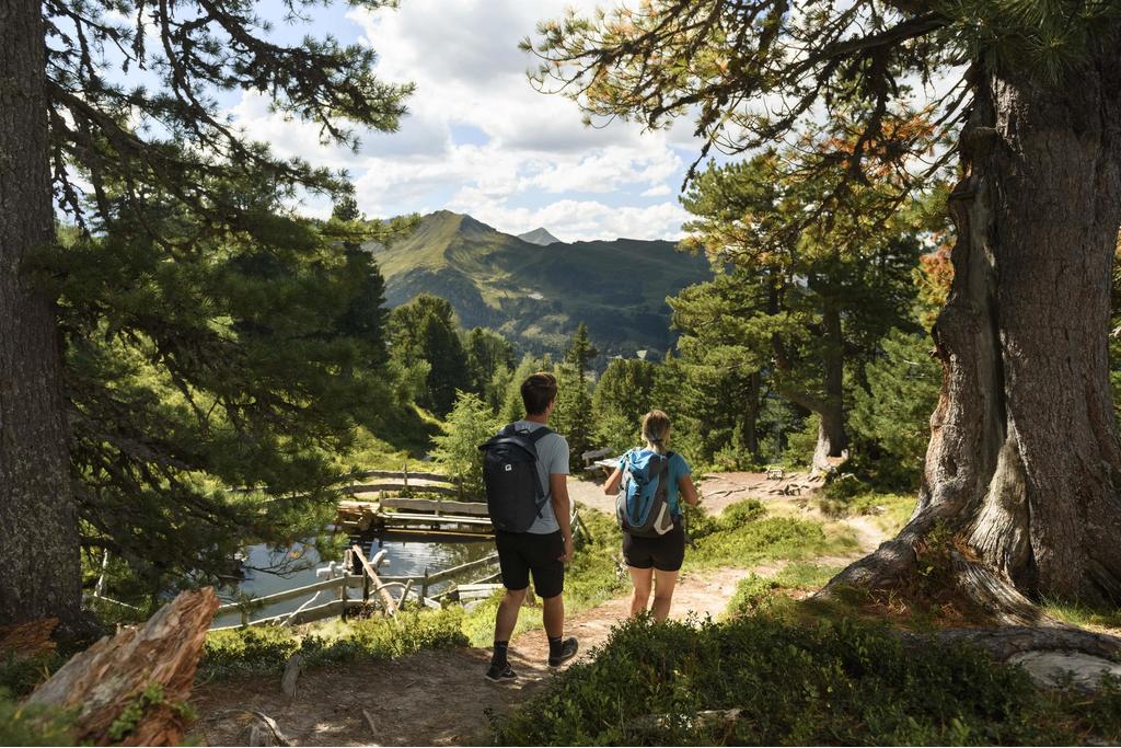 Zirbenweg