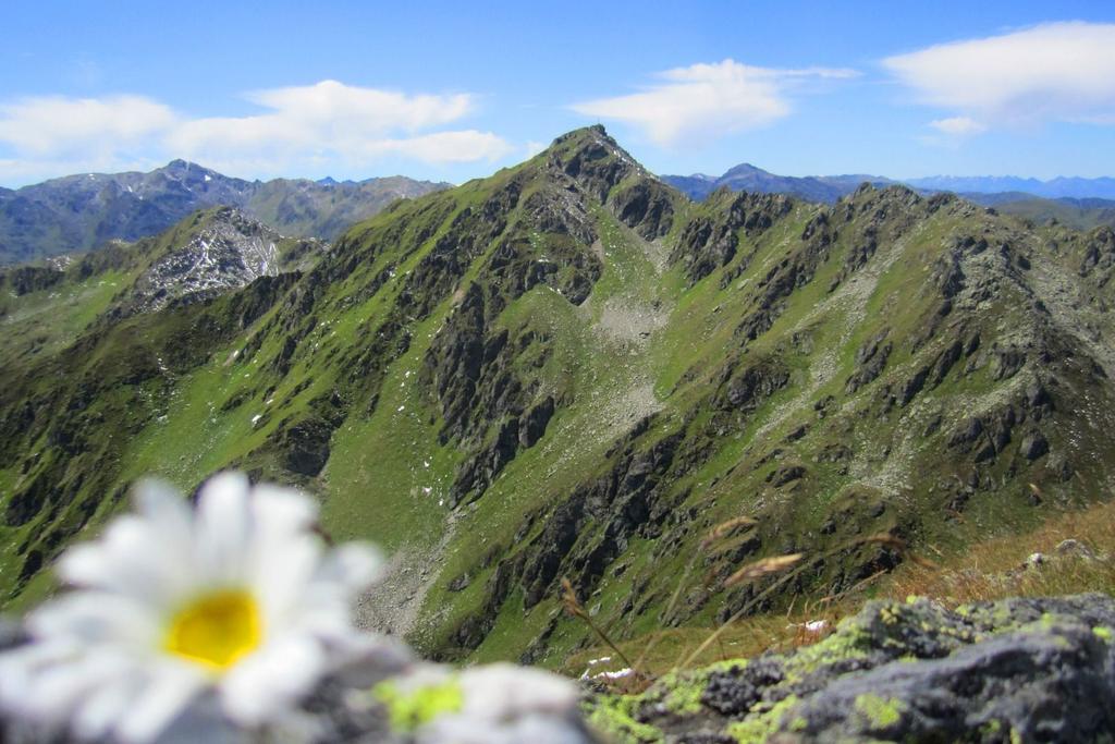 1286-Marchkopf-Ausblick-von-Wimbachkopf-aus.jpg