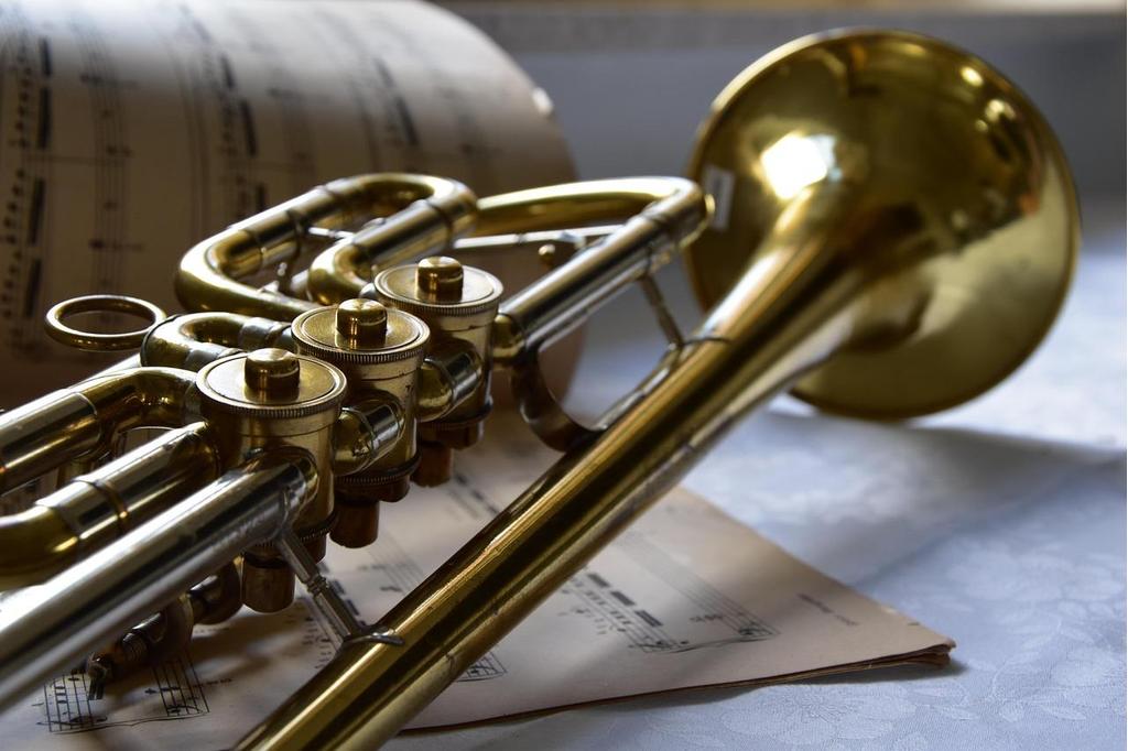 Instrument