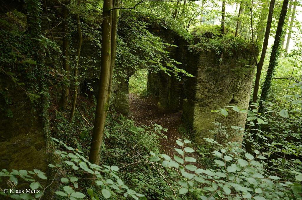 Ruine Neu Leonrod