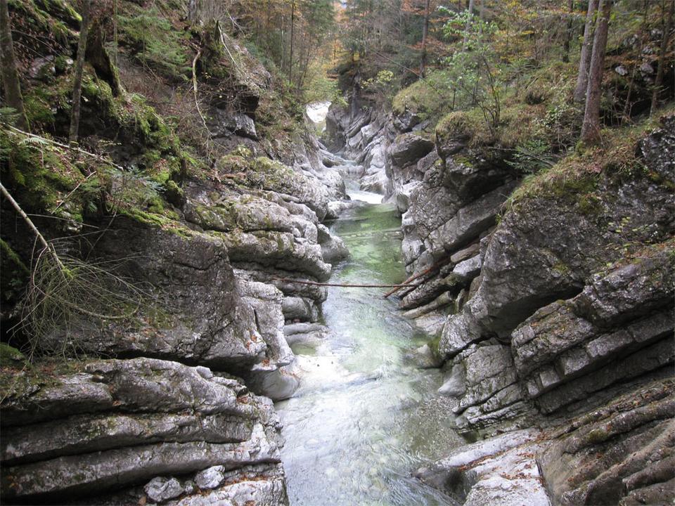 Rettenbachwildnis