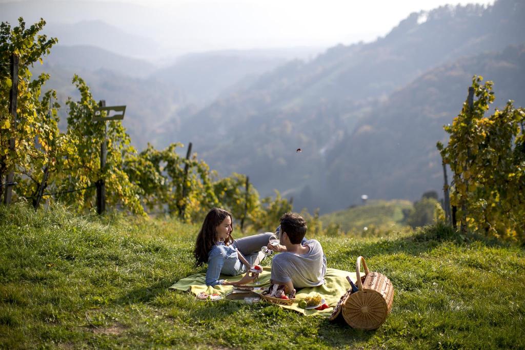 Picknickplatz Weingut Schauer