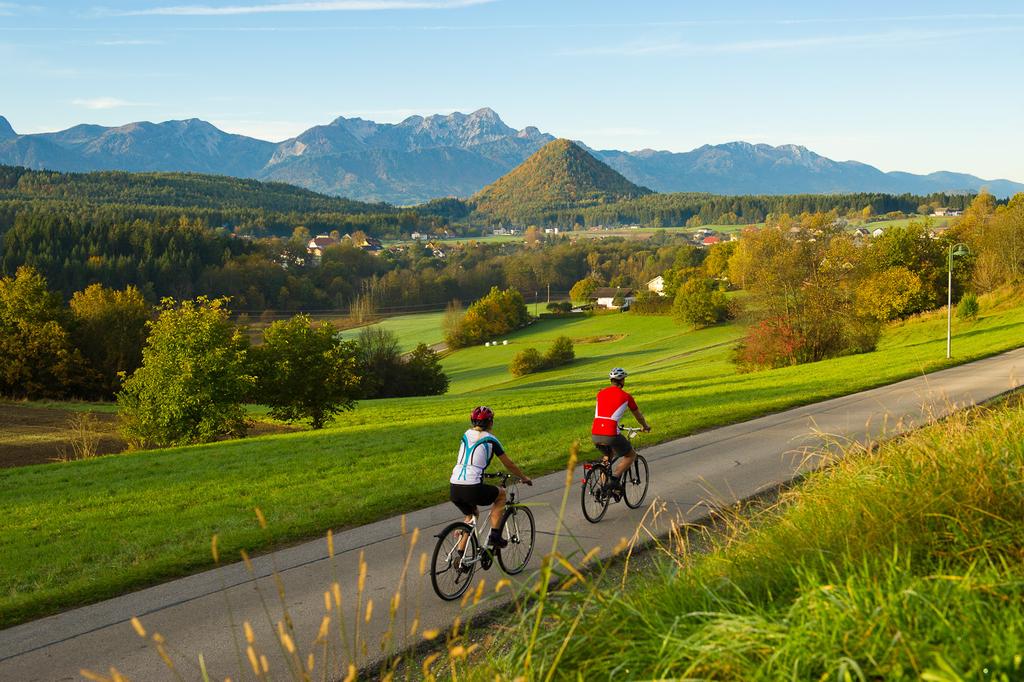 Rund um den Kathreinkogel