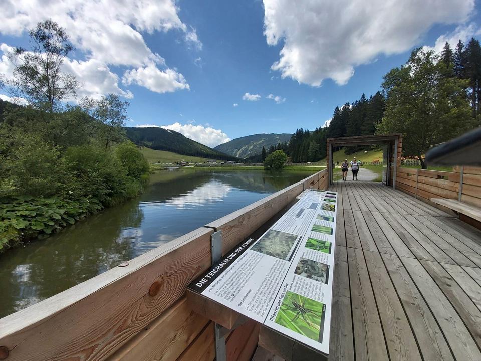 Infotafel beim Moorlehrpfad_Naturpark Almenland_Oststeiermark